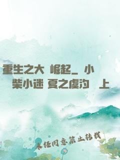 重生之大廠崛起